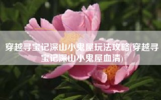 穿越寻宝记深山小鬼屋玩法攻略(穿越寻宝记深山小鬼屋血清)