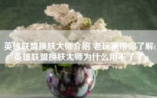 英雄联盟换肤大师介绍 老玩家带你了解(英雄联盟换肤大师为什么用不了了)