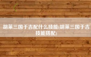 胡莱三国于吉配什么技能(胡莱三国于吉技能搭配)