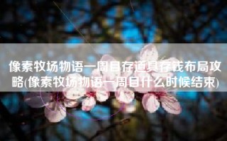 像素牧场物语一周目存道具存钱布局攻略(像素牧场物语一周目什么时候结束)