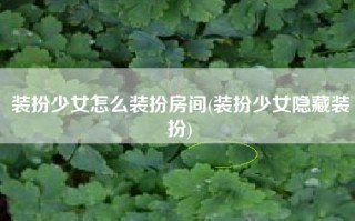 装扮少女怎么装扮房间(装扮少女隐藏装扮)
