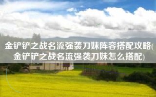 金铲铲之战名流强袭刀妹阵容搭配攻略(金铲铲之战名流强袭刀妹怎么搭配)