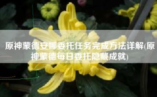 原神蒙德安娜委托任务完成方法详解(原神蒙德每日委托隐藏成就)