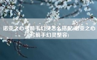 诺亚之心弓箭手幻灵怎么搭配(诺亚之心弓箭手幻灵整容)