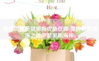 魔兽世界萨瑟里斯虎鱼在哪(魔兽世界凄凉之地萨瑟里斯海岸)