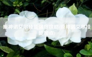 原神诺艾尔技能强度攻略(原神诺艾尔技能加点)