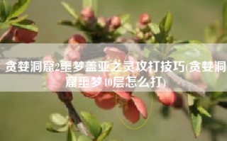 贪婪洞窟2噩梦盖亚之灵攻打技巧(贪婪洞窟噩梦40层怎么打)