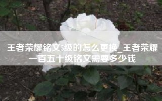 王者荣耀铭文5级的怎么更换_王者荣耀一百五十级铭文需要多少钱