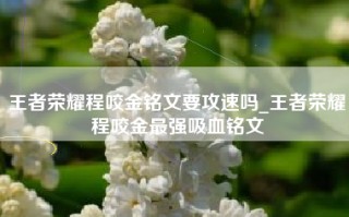 王者荣耀程咬金铭文要攻速吗_王者荣耀程咬金最强吸血铭文