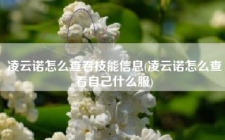 凌云诺怎么查看技能信息(凌云诺怎么查看自己什么服)