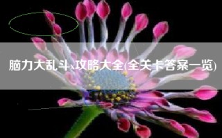 脑力大乱斗x攻略大全(全关卡答案一览)