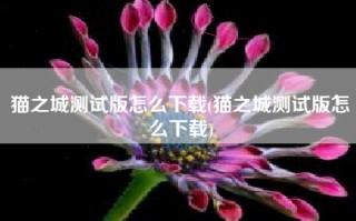 猫之城测试版怎么下载(猫之城测试版怎么下载)