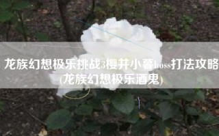 龙族幻想极乐挑战3樱井小暮boss打法攻略(龙族幻想极乐酒鬼)