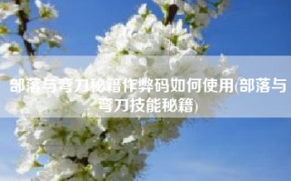 部落与弯刀秘籍作弊码如何使用(部落与弯刀技能秘籍)