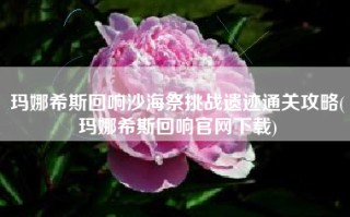 玛娜希斯回响沙海祭挑战遗迹通关攻略(玛娜希斯回响官网下载)