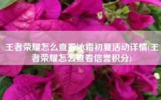 王者荣耀怎么查看冰霜初夏活动详情(王者荣耀怎么查看信誉积分)
