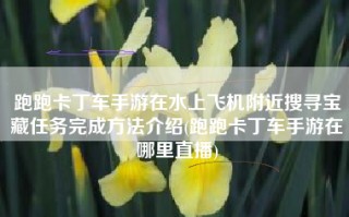 跑跑卡丁车手游在水上飞机附近搜寻宝藏任务完成方法介绍(跑跑卡丁车手游在哪里直播)