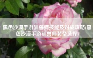 黑色沙漠手游驯兽师技能及对战攻略(黑色沙漠手游驯兽师装备选择)