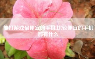 能打游戏最便宜的手机,比较便宜的手机都有什么