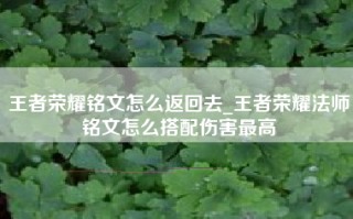 王者荣耀铭文怎么返回去_王者荣耀法师铭文怎么搭配伤害最高