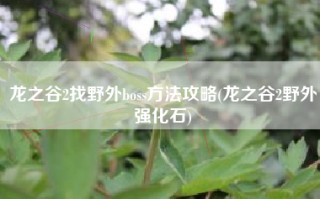 龙之谷2找野外boss方法攻略(龙之谷2野外强化石)