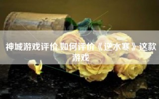 神城游戏评价,如何评价《逆水寒》这款游戏