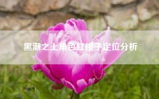 黑潮之上角色红桃子定位分析