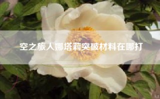 空之旅人娜塔莉突破材料在哪打