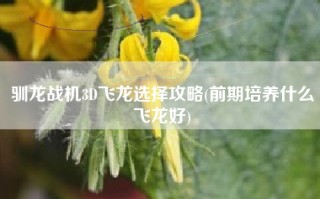驯龙战机3D飞龙选择攻略(前期培养什么飞龙好)