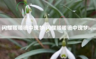闪耀暖暖镜中瑰梦(闪耀暖暖镜中瑰梦bgm)
