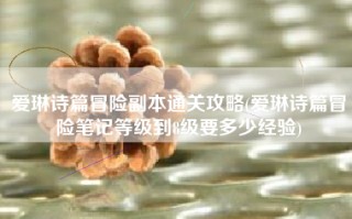 爱琳诗篇冒险副本通关攻略(爱琳诗篇冒险笔记等级到8级要多少经验)