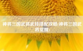 神将三国武将武技搭配攻略(神将三国武将觉醒)