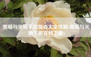 黑暗与光明手游加点大全攻略(黑暗与光明手游官网下载)