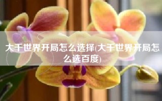 大千世界开局怎么选择(大千世界开局怎么选百度)