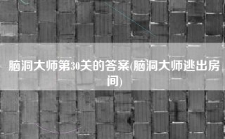 脑洞大师第30关的答案(脑洞大师逃出房间)