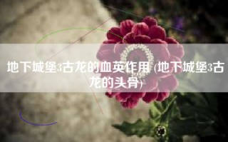 地下城堡3古龙的血英作用 (地下城堡3古龙的头骨)