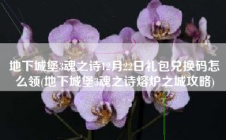 地下城堡3魂之诗12月22日礼包兑换码怎么领(地下城堡3魂之诗熔炉之城攻略)