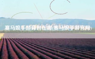 赛马娘手游背包在哪(赛马娘手游官网)