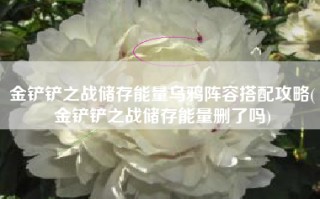 金铲铲之战储存能量乌鸦阵容搭配攻略(金铲铲之战储存能量删了吗)