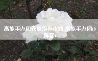 高能手办团苍岚培养攻略(高能手办团t0阵容)
