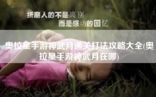 奥拉星手游神武月通关打法攻略大全(奥拉星手游神武月在哪)