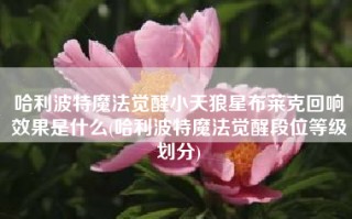 哈利波特魔法觉醒小天狼星布莱克回响效果是什么(哈利波特魔法觉醒段位等级划分)