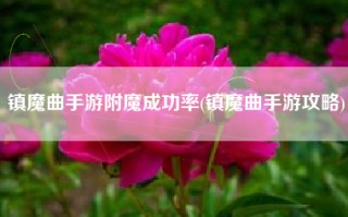 镇魔曲手游附魔成功率(镇魔曲手游攻略)