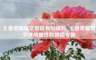 王者荣耀铭文冒险有加成吗_王者荣耀铭文通用属性和冒险专属