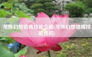 龙族幻想猎鹰技能介绍(龙族幻想猎鹰技能连招)