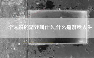 一个人说的游戏叫什么,什么是游戏人生