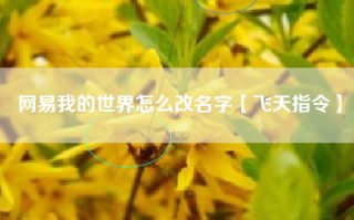 网易我的世界怎么改名字【飞天指令】