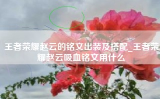 王者荣耀赵云的铭文出装及搭配_王者荣耀赵云吸血铭文用什么