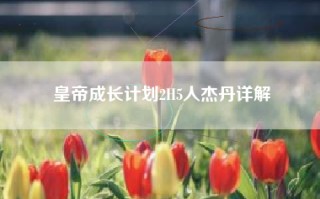 皇帝成长计划2H5人杰丹详解