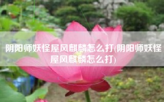 阴阳师妖怪屋风麒麟怎么打(阴阳师妖怪屋风麒麟怎么打)
